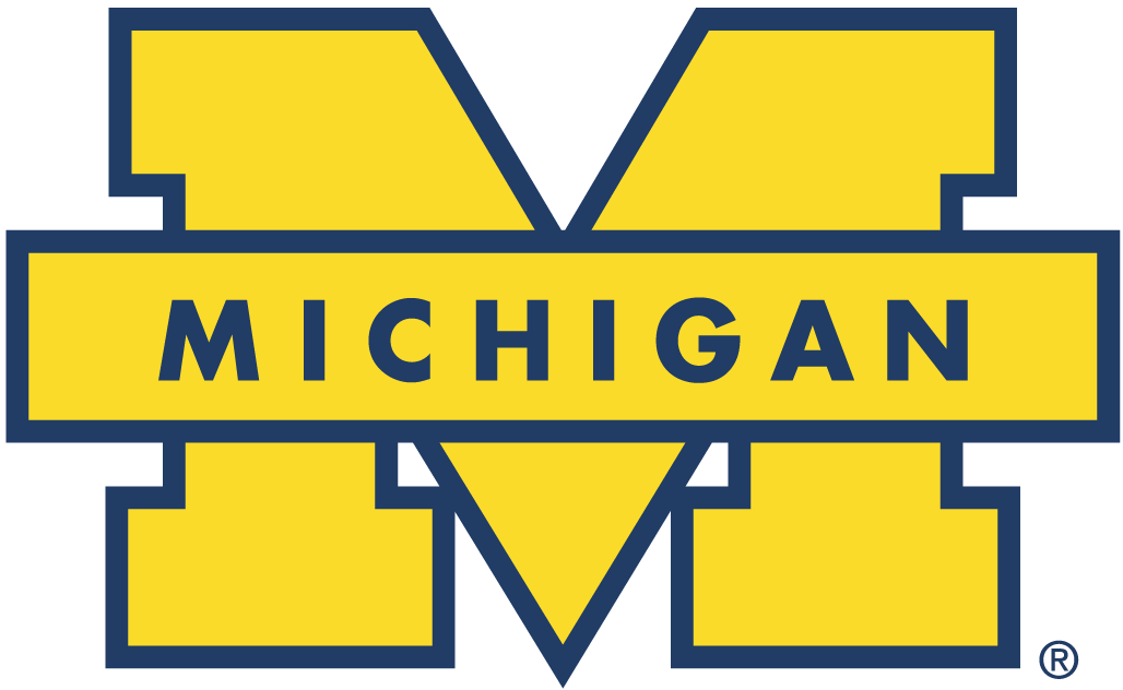 Michigan Wolverines 1996-Pres Secondary Logo iron on transfers for clothing